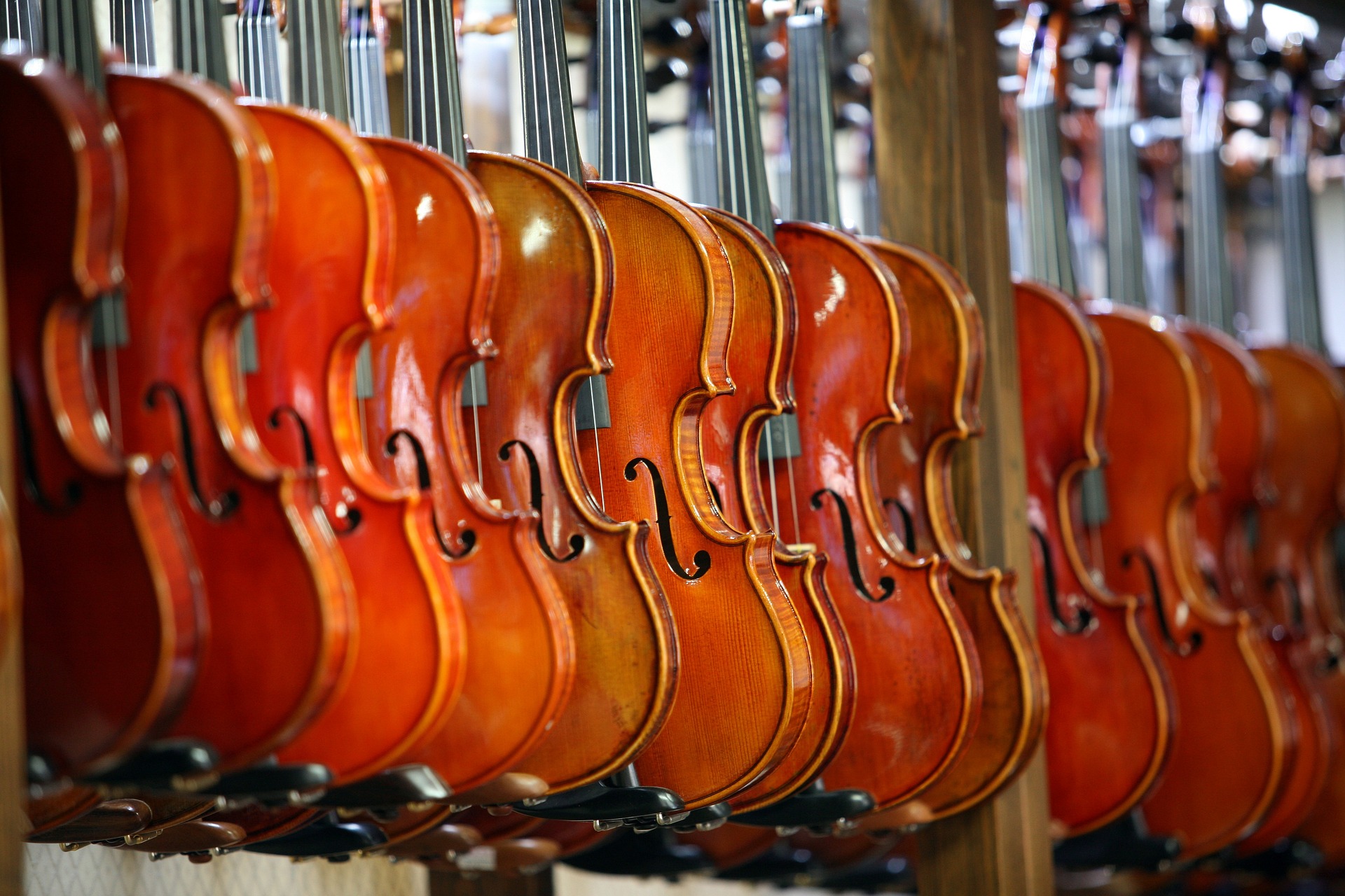 violins