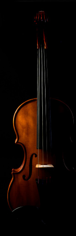 violin